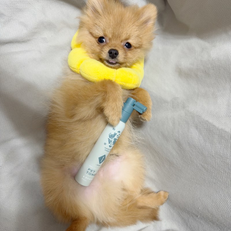 女人知己試用大隊,口碑行銷,部落客行銷,Goodmofamily歸毛家族 寵物肌膚救星組,歸毛家族 寵物肌膚救星,舒敏保濕洗毛乳,護膚噴液,精萃營養霜,博士30年生技專業,給足皮膚營養保護力,無抗生素 無類固醇,神經醯胺,19種綜合胺基酸,榮獲SNQ國家認證,上萬毛爸媽見證,3週幫助皮膚健康,NO.1寵物肌膚口碑霸主,寵物第一護膚領導品牌